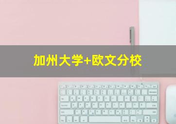 加州大学 欧文分校